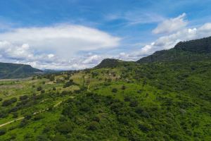Land for Sale, 900 Hectares, near Amatitan, at Zapopan Jalisco – Photo 5