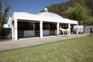 Luxury Equestrian Estate with Expansive Gardens and Mountain Views