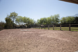 Luxury Equestrian Estate with Expansive Gardens and Mountain Views