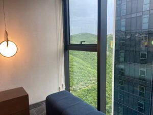 Furnished Executive Apartment with Spectacular Mountain Views