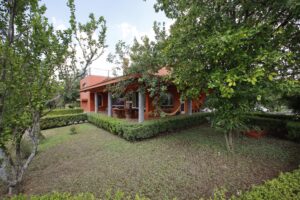 Quinta El Maguey, Montemorelos