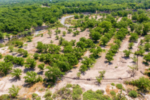 Exclusive Homesites Surrounded by Centenary Walnut Trees
