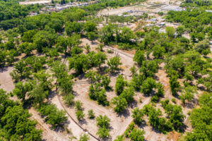 Exclusive Homesites Surrounded by Centenary Walnut Trees
