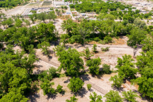 Exclusive Homesites Surrounded by Centenary Walnut Trees