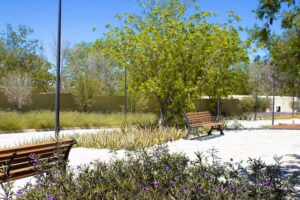 Exclusive Homesites Surrounded by Centenary Walnut Trees