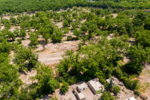 Exclusive Homesites Surrounded by Centenary Walnut Trees