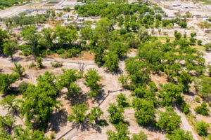 Exclusive Homesites Surrounded by Centenary Walnut Trees