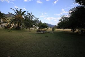 Los Nogales