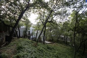 Architectural Residence with Private Gardens and Terraces