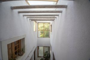 Architectural Residence with Private Gardens and Terraces