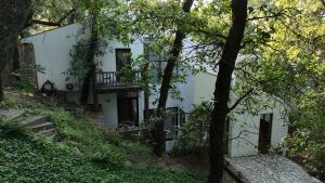 Architectural Residence with Private Gardens and Terraces