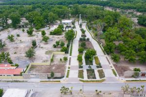 Exclusive Homesites Surrounded by Centenary Walnut Trees