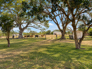Expansive Ranch with Agricultural Land and Water Resources