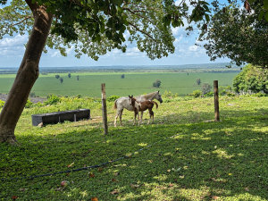 Expansive Ranch with Agricultural Land and Water Resources