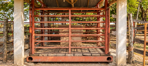 Expansive Ranch with Agricultural Land and Water Resources