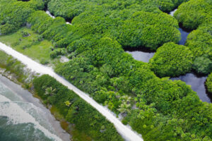 VIRGIN AND SECLUDED BEACHFRONT PARADISE