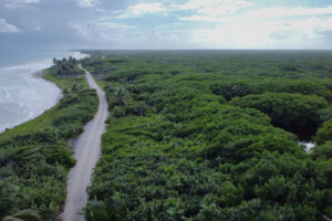 VIRGIN AND SECLUDED BEACHFRONT PARADISE