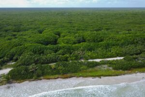 VIRGIN AND SECLUDED BEACHFRONT PARADISE