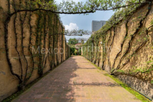 Terreno Periferico San Angel