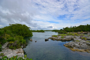 SERENE HAVEN