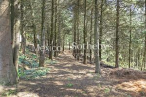 Rancho El Zorrillo