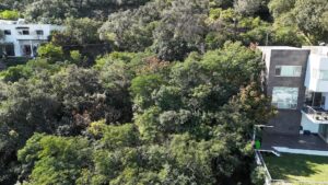 Sierra del Valle Lot