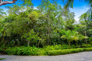 El Paredón Lot 8 | Coastal retreat, Puerto Vallarta’s south shore