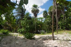 BEACHFRONT LOT – A PARADISE OF WHITE SAND