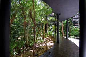 JUNGLE SERENITY RESIDENCE