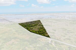 Terreno Estratégico Mérida–Progreso