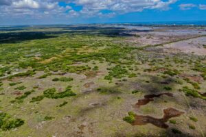 Terreno Estratégico Mérida–Progreso