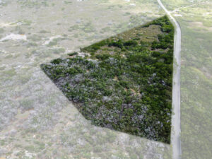 Terreno Estratégico Mérida–Progreso