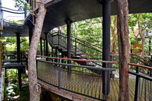 JUNGLE SOUL LOFT
