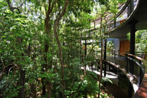 JUNGLE SOUL LOFT
