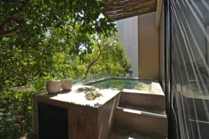 Luxury Penthouse with Private Rooftop | Lock-Off Investment Opportunity