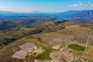 Land 900 Hectares for SALE