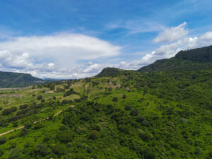 Land 900 Hectares for SALE