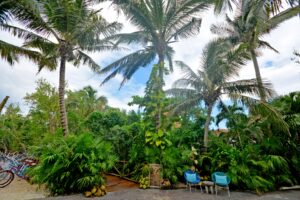 Rosewood Branded Beachfront Estate in Mayakoba | 131 Ft (40 m) of Frontage