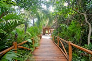 Rosewood Branded Beachfront Estate in Mayakoba | 131 Ft (40 m) of Frontage