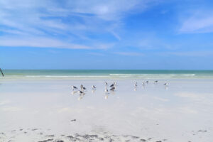 Island Beachfront Residence