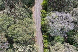 Terreno en venta en Reserva de los Encinos 4