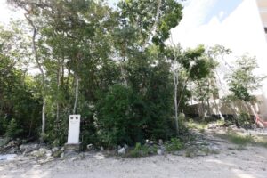 EXCLUSIVE LOT IN TULUM JUNGLE