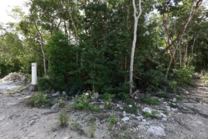 EXCLUSIVE LOT IN TULUM JUNGLE