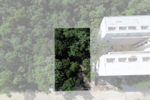 EXCLUSIVE LOT IN TULUM JUNGLE