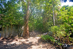 LOT BETWEEN DIAGONAL 65 AND 75 SOUTH WITH 21 SOUTH ST AND 19 BIS SOUTH ST, WITH