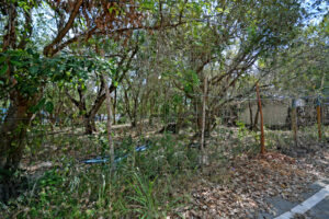 LOT BETWEEN DIAGONAL 65 AND 75 SOUTH WITH 21 SOUTH ST AND 19 BIS SOUTH ST, WITH