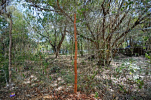 LOT BETWEEN DIAGONAL 65 AND 75 SOUTH WITH 21 SOUTH ST AND 19 BIS SOUTH ST, WITH
