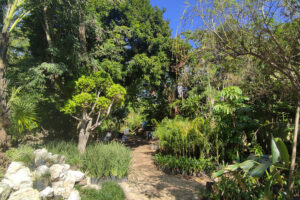 LOT BETWEEN DIAGONAL 65 AND 75 SOUTH WITH 21 SOUTH ST AND 19 BIS SOUTH ST, WITH