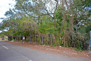 LOT BETWEEN DIAGONAL 65 AND 75 SOUTH WITH 21 SOUTH ST AND 19 BIS SOUTH ST, WITH