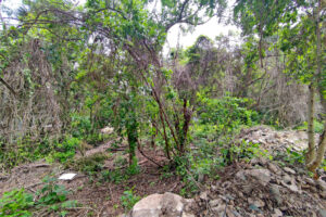 LOT BETWEEN DIAGONAL 65 AND 75 SOUTH WITH 21 SOUTH ST AND 19 BIS SOUTH ST, WITH